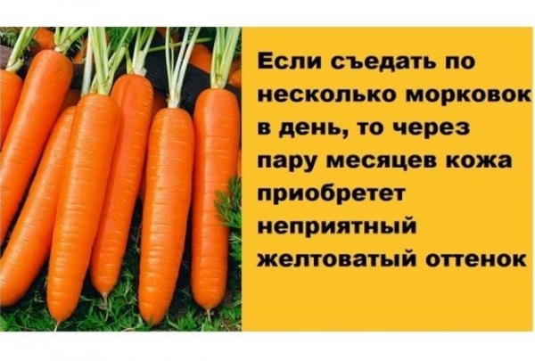 Срочно на кухню