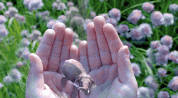 технологии из Чёрного зеркала Magic Leap