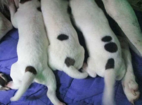 20 необычных случаев про которые можно смело сказать Один на миллион