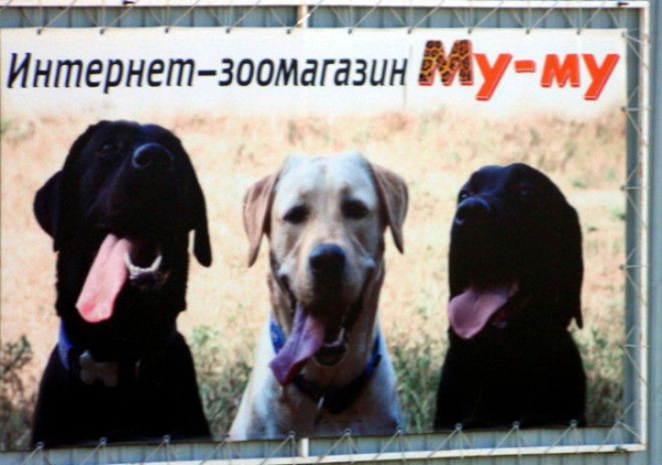 Просто скажите почему Муму