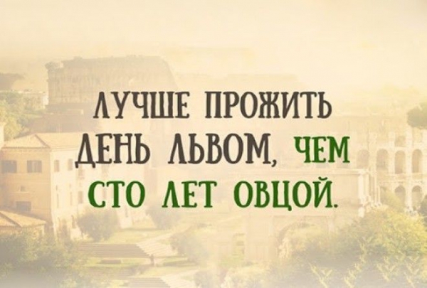 Проникнитесь их мудростью!