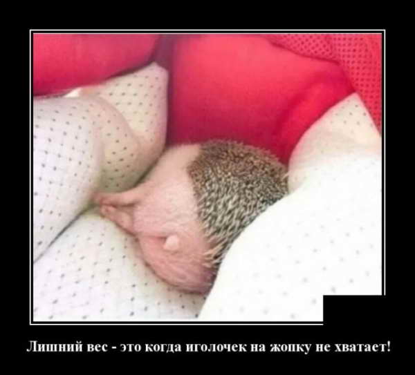 Демотиватор про ожирение