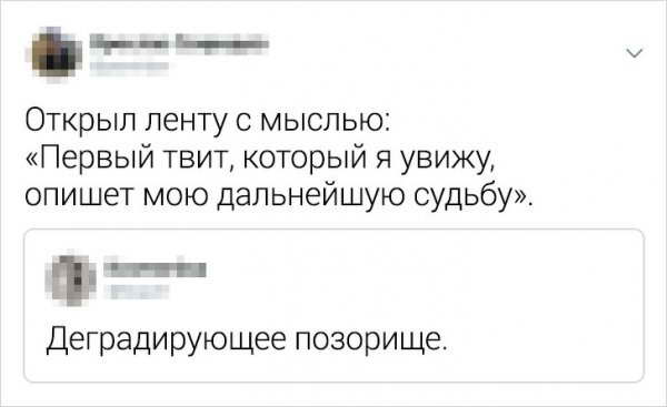 Подборка забавных и жизненных твитов Подборка забавных и жизненных твитов