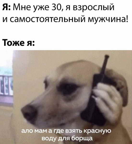 Веселые картинки вечер 15 мая 2020