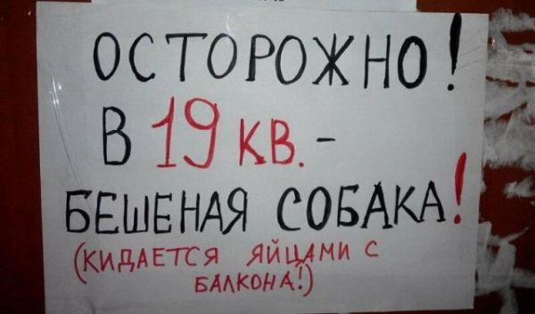 Смешные объявления о пропавших животных Смешные объявления о пропавших животных