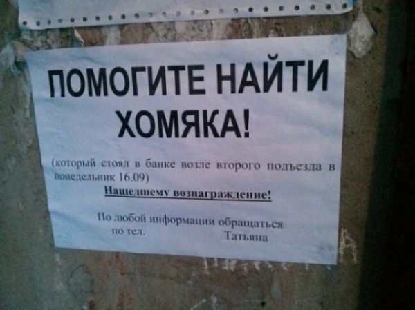 Смешные объявления о пропавших животных Смешные объявления о пропавших животных