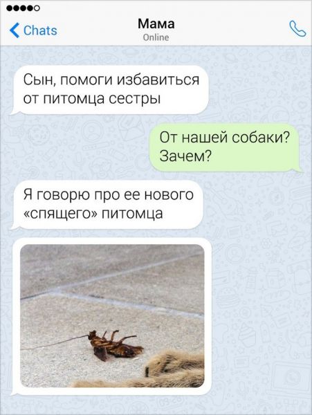 Забавные переписки с родителями Забавные переписки с родителями