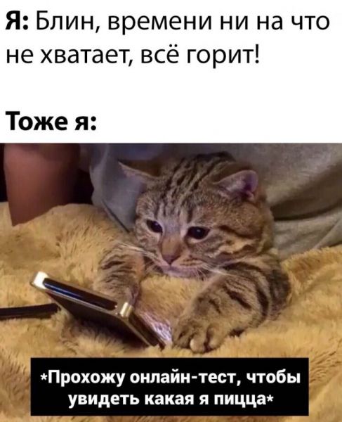 Прикольчики