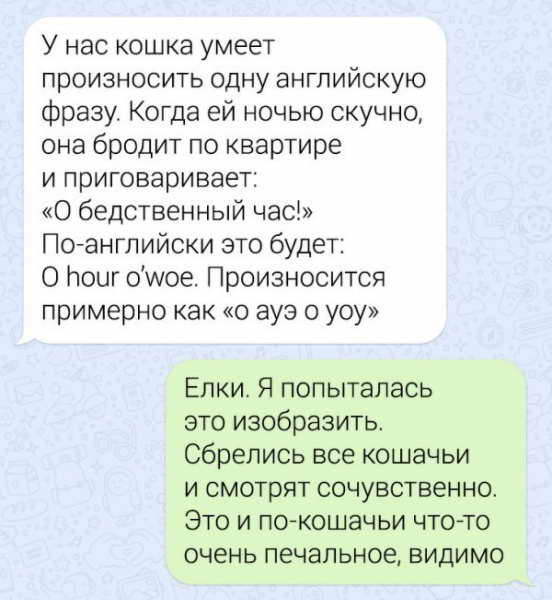 Подборка забавных переписок