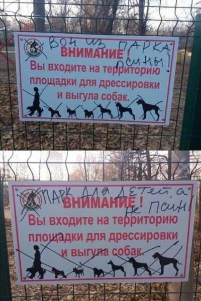 Безумие, которое "яжематери" публикуют в социальных сетях