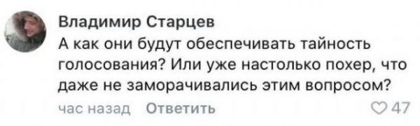 Реакция россиян на введение дистанционного голосования