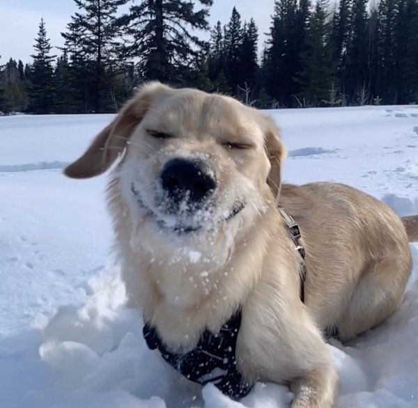 М-м-м-м... снежок