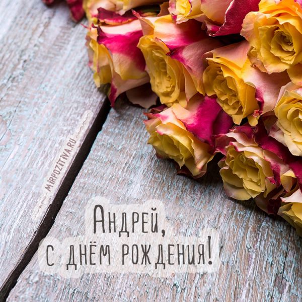 цветы Андрей с днем рождения