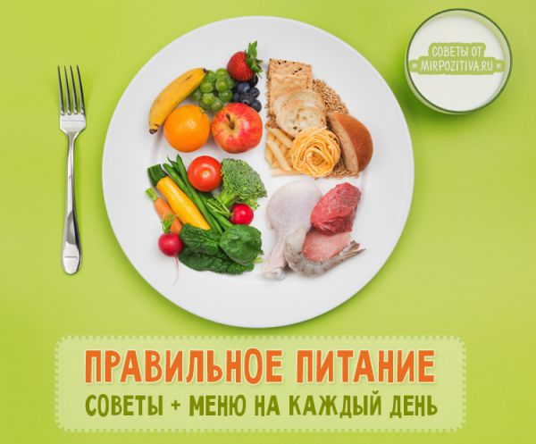 здоровая пища