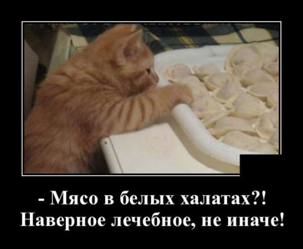 Демотиватор про пельмени