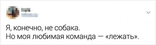 Подборка забавных и жизненных твитов Подборка забавных и жизненных твитов