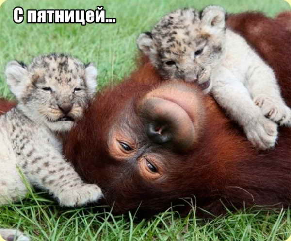 Трынделка - 15.05.2020
