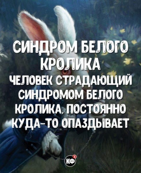 Краткие факты