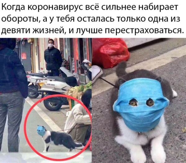 Подборка картинок. Вечерний выпуск (34 фото) - 10.02.2020 Подборка картинок. Вечерний выпуск (34 фото) - 10.02.2020