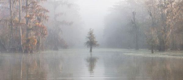 Самые крутые фотографии природы с фотоконкурса «Landscape Photographer of the Year 2018» Самые крутые фотографии природы с фотоконкурса «Landscape Photographer of the Year 2018»