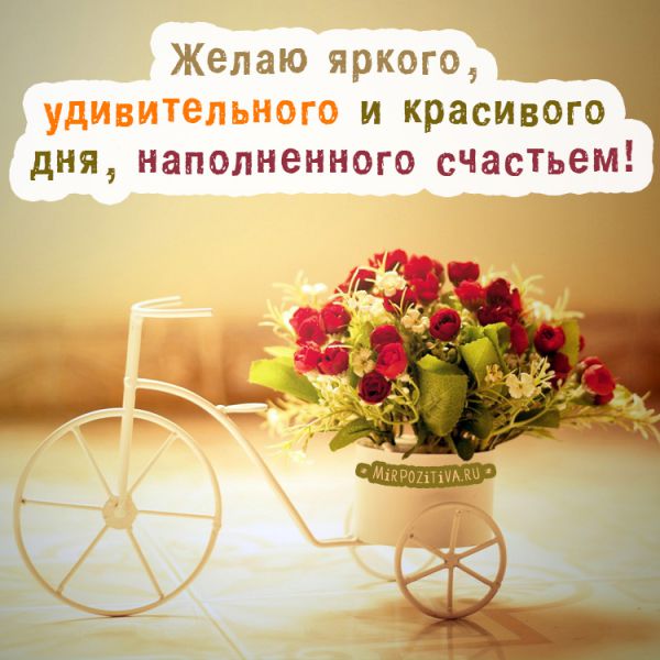 Желаю тебе яркого, удивительного и красивого дня, наполненного счастьем!