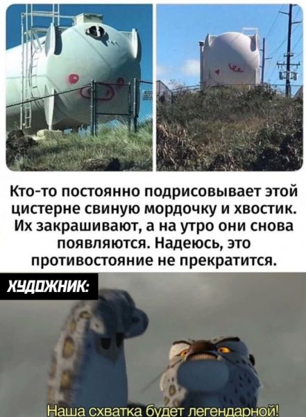 Смешные картинки 14 мая 2020