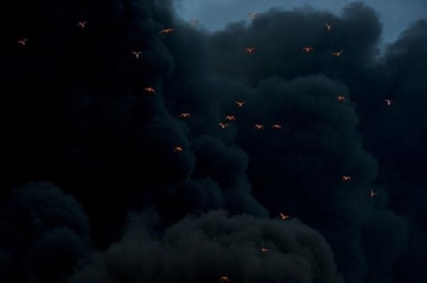18 удивительных снимков для тех, кто думает, что уже видел все в этой жизни