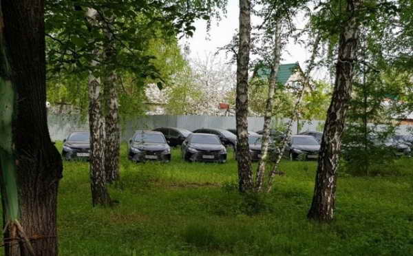 Toyota Camry в лесу Челябинска Toyota Camry в лесу Челябинска