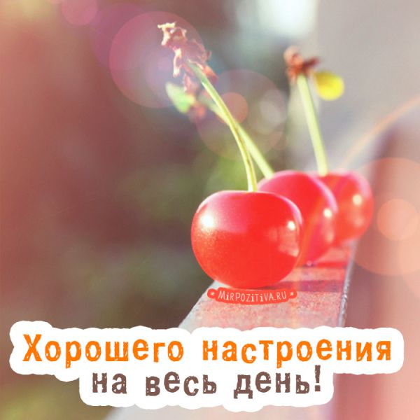Хорошего настроения на весь день!