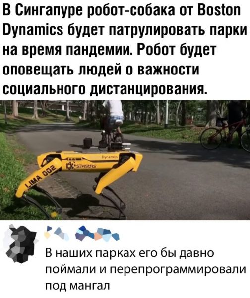 Смешные картинки 14 мая 2020