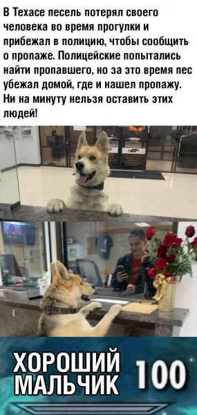 Прикольчики