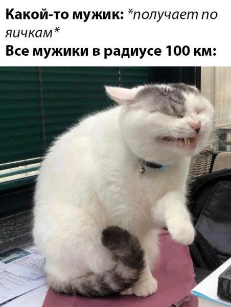 Веселые картинки вечер 10 марта Веселые картинки вечер 10 марта