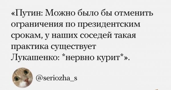Коты и скачок во времени – как Сеть прореагировала на обнуление президентских сроков Владимира Путин