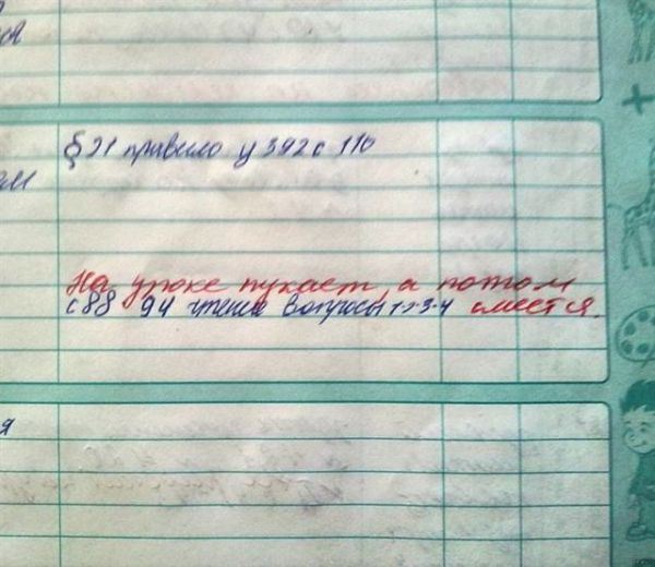 16 записей в дневнике, от смеха можно надорвать живот