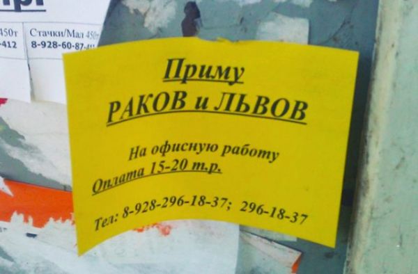 15 объявлений, мимо которых невозможно пройти. Запредельная оригинальность!