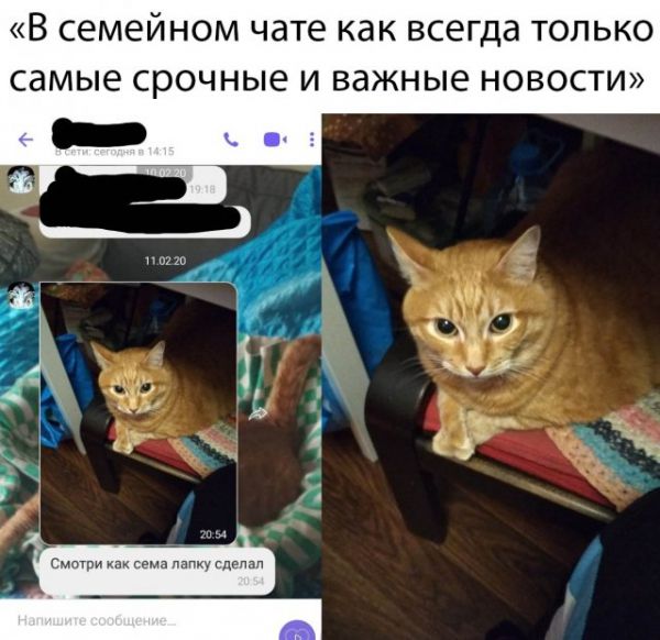 Прикольчики