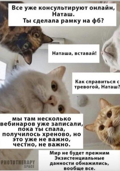 Майские праздники, удаленка и карантин: лучшие шутки в Сети