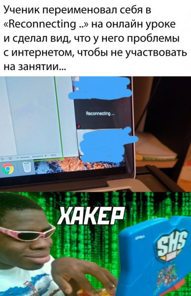 Смешные картинки 12 мая 2020