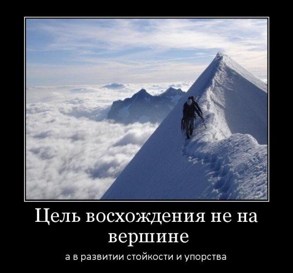 О жизни и из неё