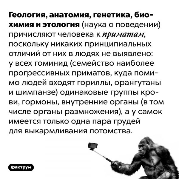 Говорят что человек самое несчастное из животных поскольку заранее знает о своей будущей смерти