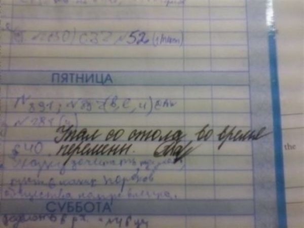 16 записей в дневнике, от смеха можно надорвать живот