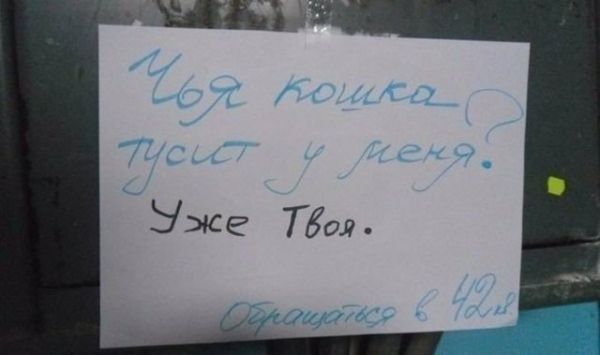 Смешные объявления о пропавших животных Смешные объявления о пропавших животных