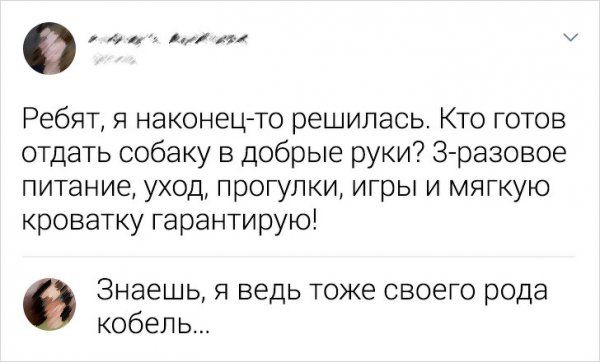 Подборка смешных комментариев из социальных сетей Подборка смешных комментариев из социальных сетей