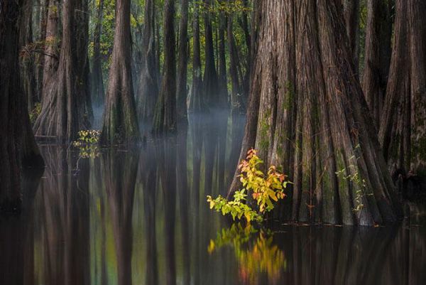 Самые крутые фотографии природы с фотоконкурса «Landscape Photographer of the Year 2018» Самые крутые фотографии природы с фотоконкурса «Landscape Photographer of the Year 2018»