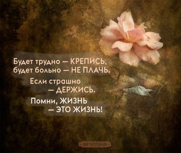 роза