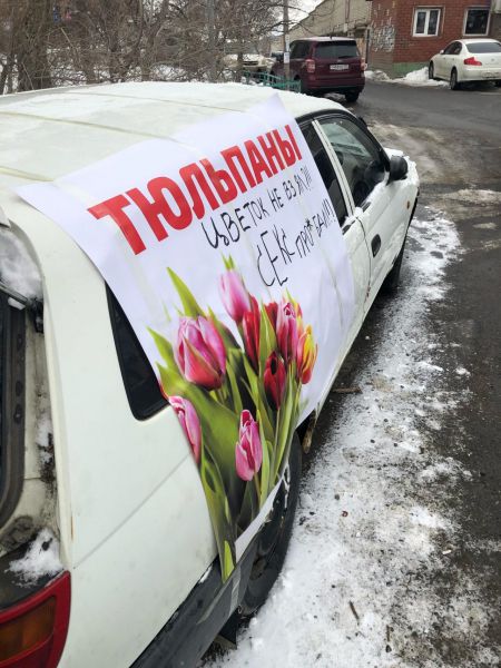 По родным просторам