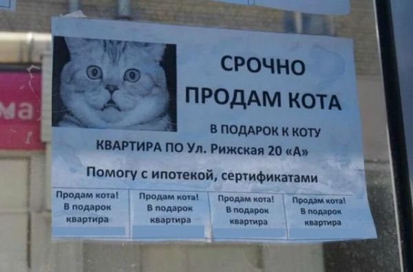 Смешные объявления о пропавших животных Смешные объявления о пропавших животных