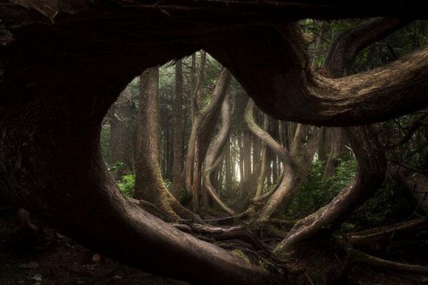 Самые крутые фотографии природы с фотоконкурса «Landscape Photographer of the Year 2018» Самые крутые фотографии природы с фотоконкурса «Landscape Photographer of the Year 2018»
