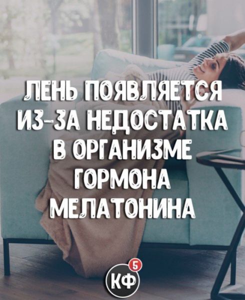Краткие факты