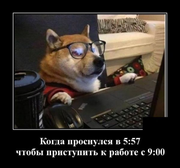 Демотиватор про работу